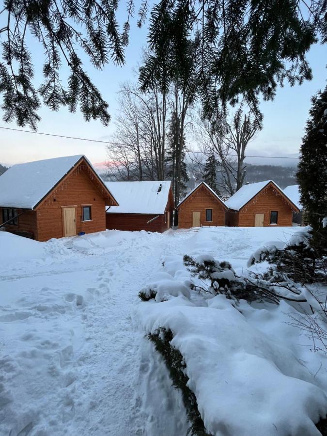 Ferienwohnung Poncyljuszowka Szczyrk Exterior foto